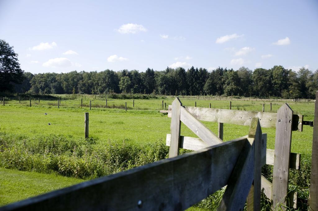 Oranje Hoeve Bed and Breakfast Helenaveen Buitenkant foto